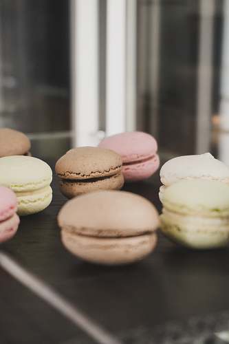 confectionery bunch of macarons bakery