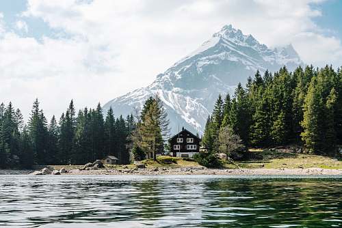 landscape black painted house in the middle of the trees switzerland