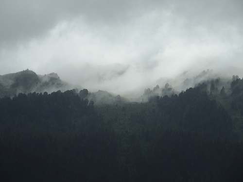 nature silhouette of mountain covered by fogs grey