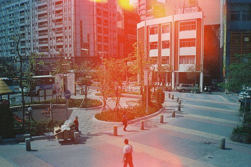 people on park near buildings