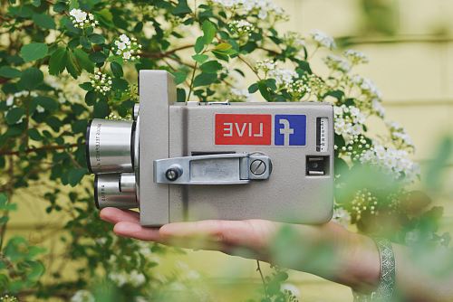 person holding gray video camera near green leaf plant during daytime