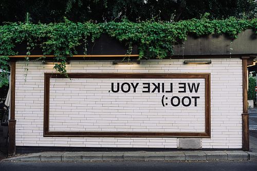 We like you too quotes on wall