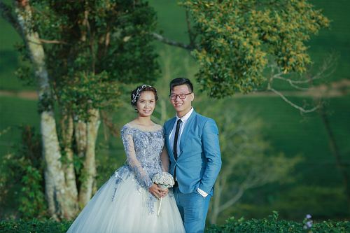 wedding couple posting for photo shoot near tree