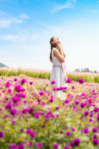 woman wearing white and gray striped sleeveless dress smelling the air standing in the pink flower field at daytime