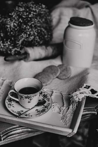 knot grayscale photography of teacup on a tray near cookies and jar grey