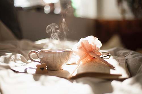 tea teacup on book beside pink flower decor cup