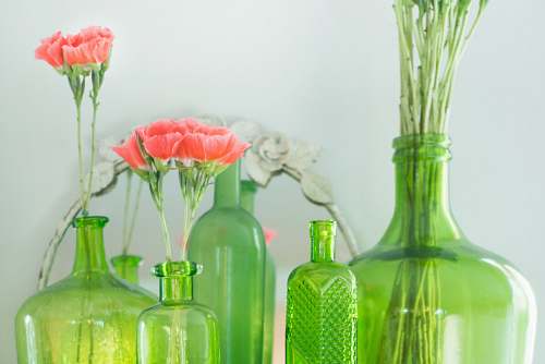 bottle green grass bottles with pink flowers beside white wall flora