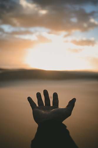 hand person's hand open palm