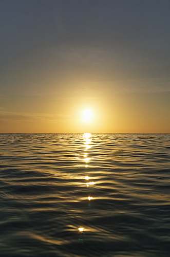 sun calm body of water during sunrise sunlight