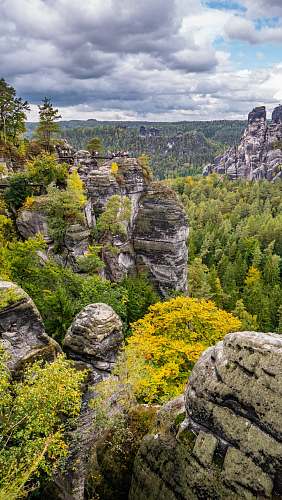 nature forest photography cliff