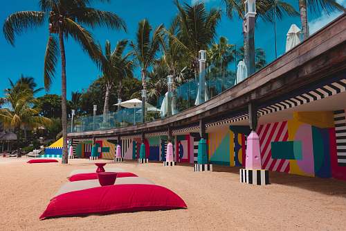 tree architectural photography of pink, blue, yellow, and white wall arecaceae