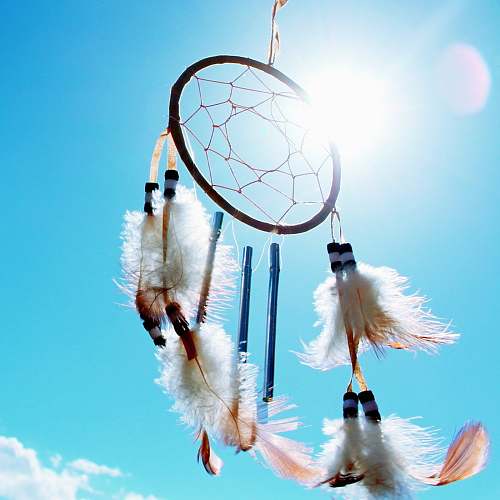 dream worm's eyeview photo of dream catcher feathers