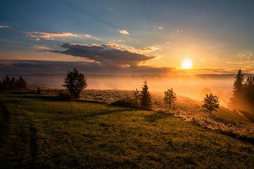 sunrise trees under cloudy sky during sunset nature