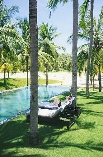 arecaceae person lying on lounge chair near pool flora