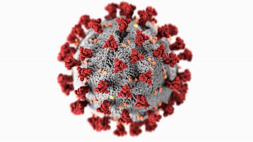 virus red and white flower petals sars-cov-2