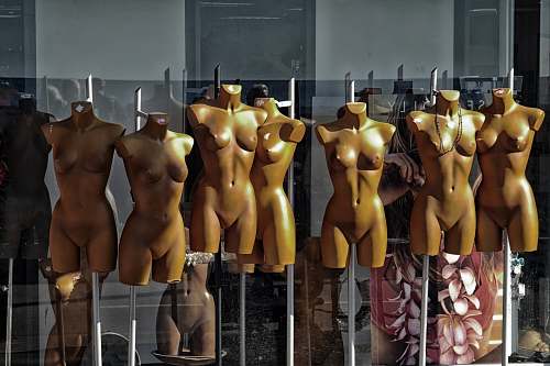 person torso mannequin lot mannequin