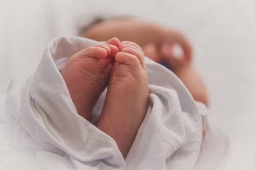 person baby covered with white blanket newborn