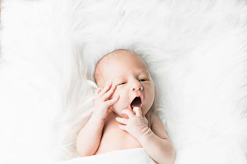 human baby's fac newborn