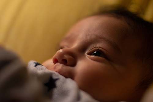 newborn baby's face person