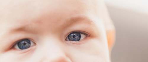 eyes person's eye face