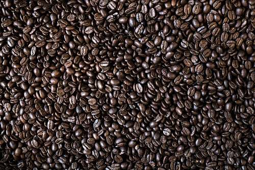 food coffee bean lot flora