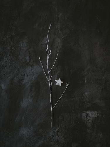 art gray tree brunch on gray surface painting