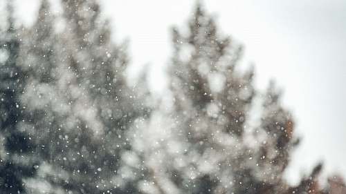 winter  snow