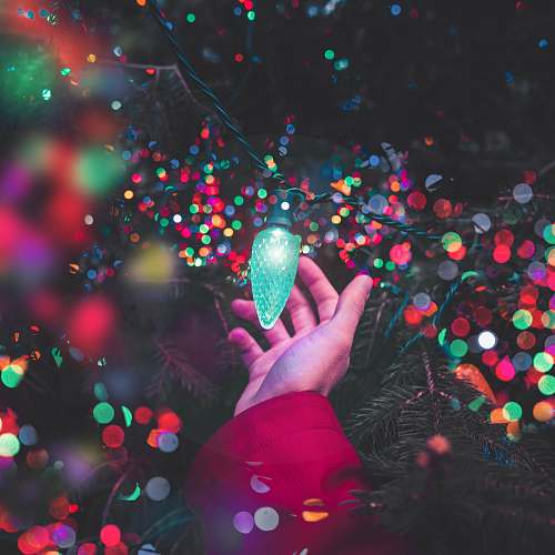 confetti bokeh photography of person holding green string light paper