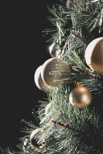 tree closeup photo of christmas bauble on christmas tree fir