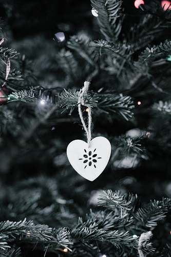 tree gray heart Christmas tree ornament conifer