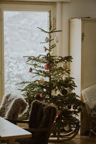 ornament green Christmas tree with assorted-color baubles inside room vase
