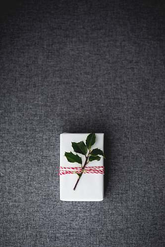 holiday green leaves on white box placed on gray textile grand rapids