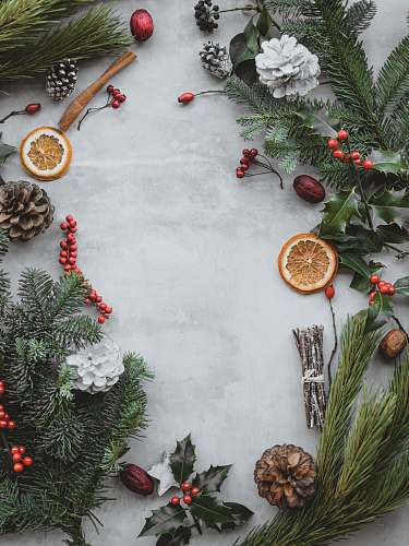 plant green palm leaf festive