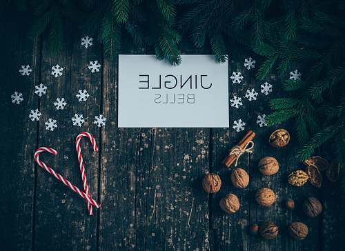 tree Jingle bells sign on flooor plant