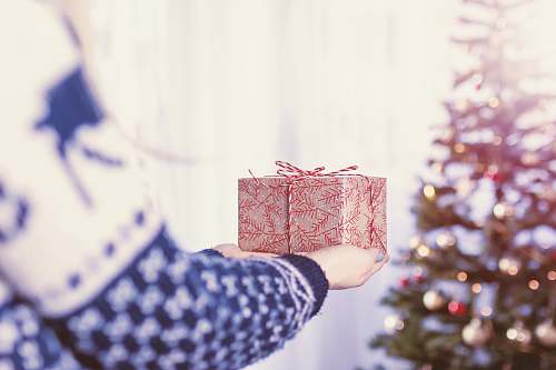 holiday person holding red and brown gift box infront of Christmas tree inside the room parcel