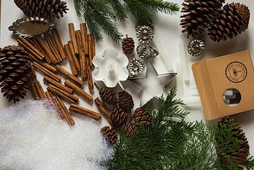 gingerbread pine cone and cinnamon stick lot food