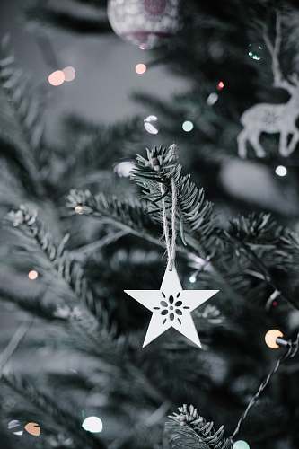 collage star Christmas ornament hanging in Christmas tree poster