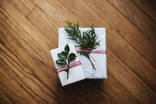 gift two green leaves on white cardboard boxes holiday
