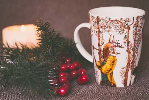 cup white and brown print ceramic mug near red mistletoe and candle sea life