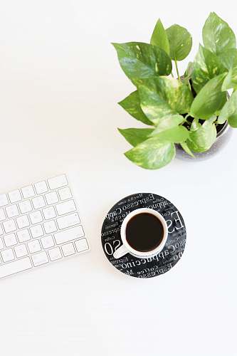 white black liquid in white ceramic cup beside keyboard workspace