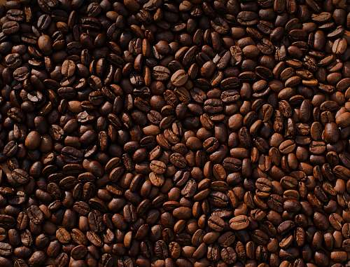 bean coffee bean lot food