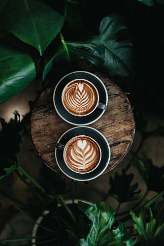 vase high angle photo of two green mugs filled with coffee potted plant