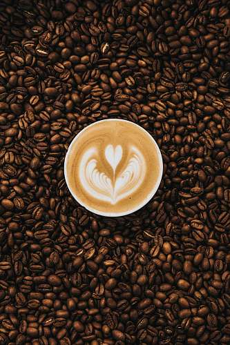 food top view photography of heart latte coffee plant