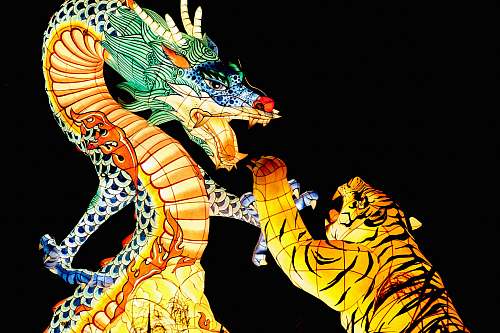 human tiger and dragon illustration people