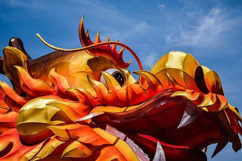 festival yellow and orange dragon mascot carnival