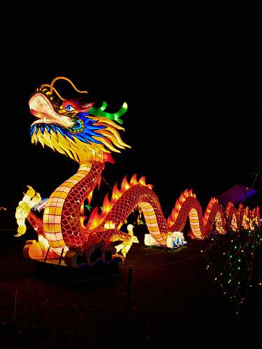 crowd dragon display new york