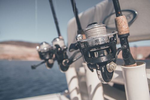 fishing reels