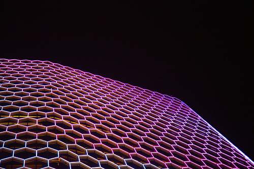 honeycomb  honey