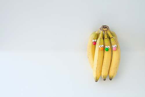 plant banana fruit banana