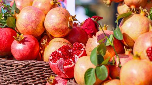 plant baskets of pomegranates produce